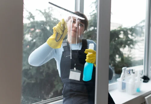 Nettoyage de vitres intérieures et extérieures au Busseau